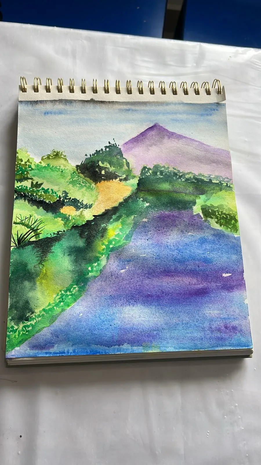 Painting & Sketching session photo 6